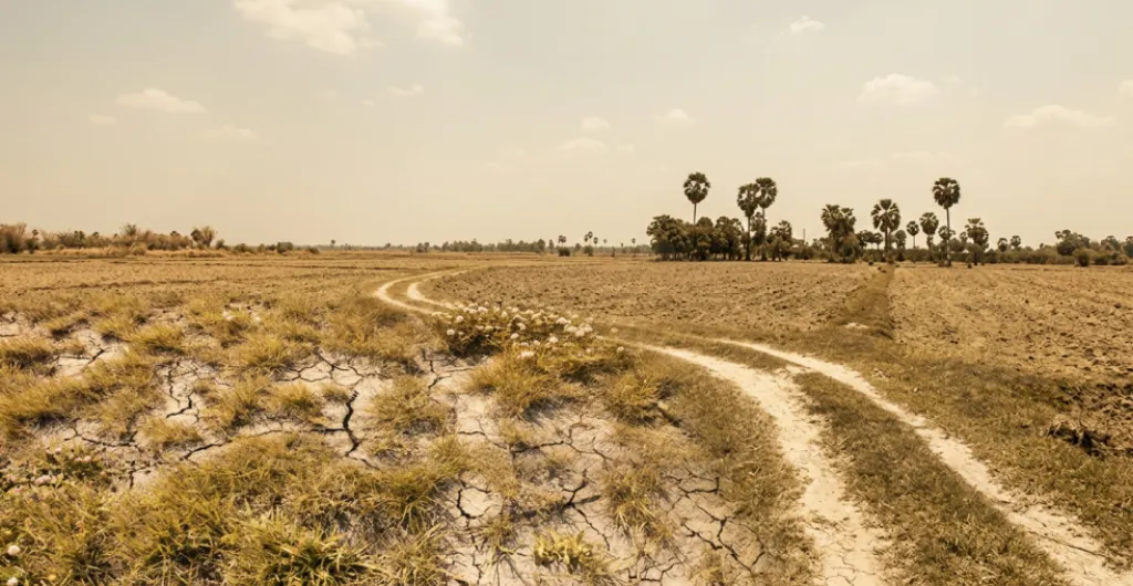 Cracked farmland affected by weak monsoon rainfall in Karnataka Dry riverbed showing the impact of low monsoon rainfall