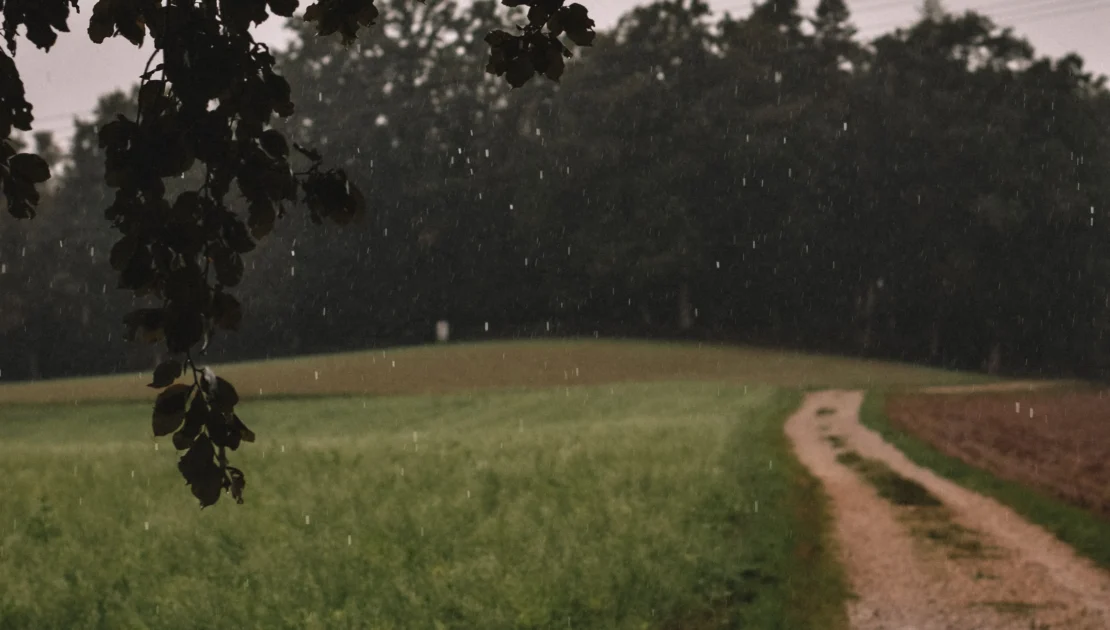 Rain falling over lush countryside at ChukkiMane