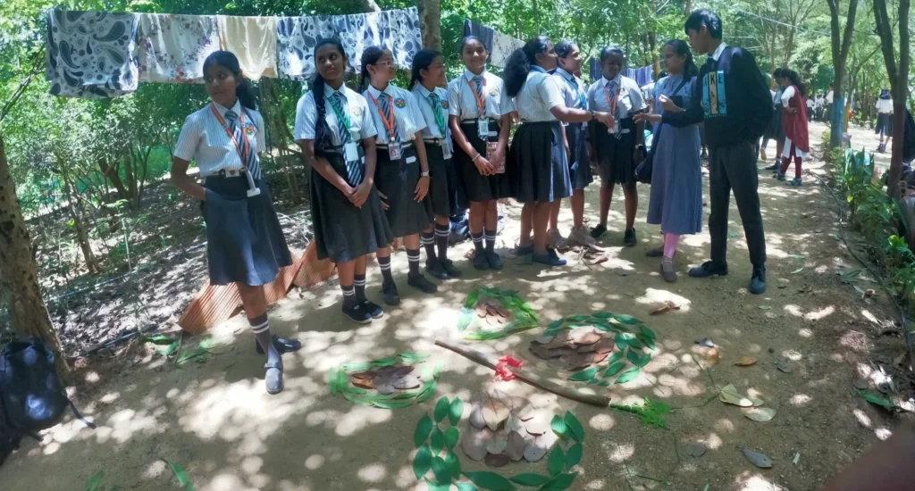 School students created an excellent earth art using natural resources