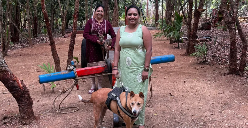 Chukki and her family exploring ChukkiMane