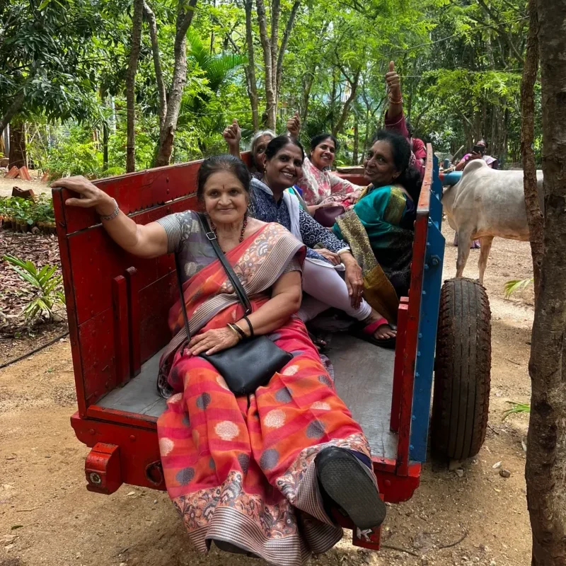 Happy women in a bullock cart