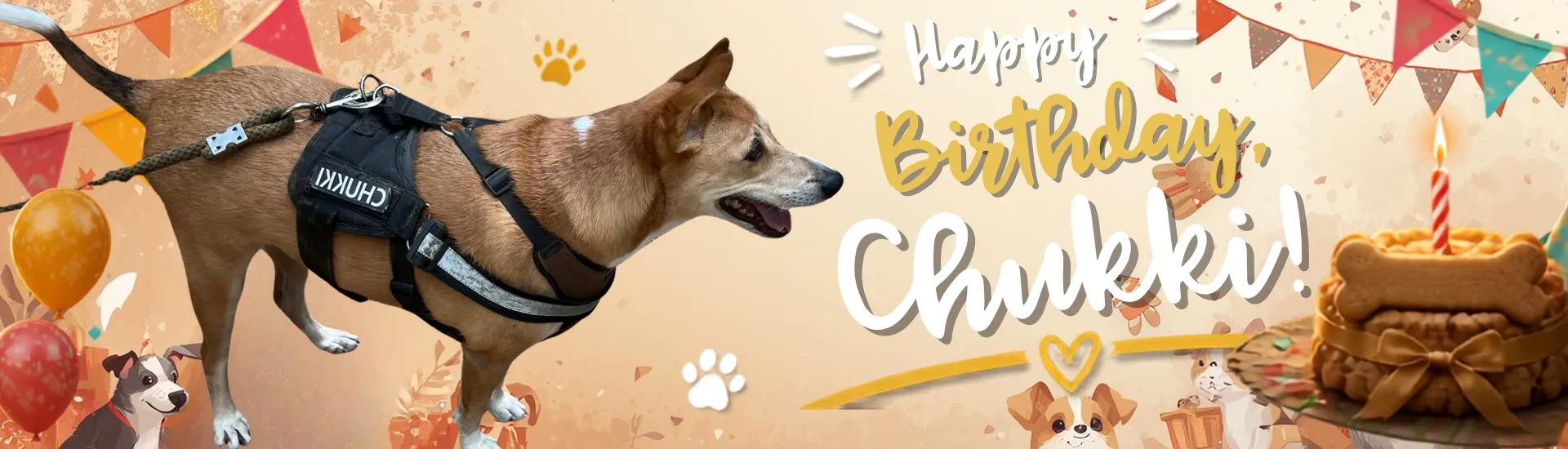 Pet Birthday celebrations at ChukkiMane near Bangalore