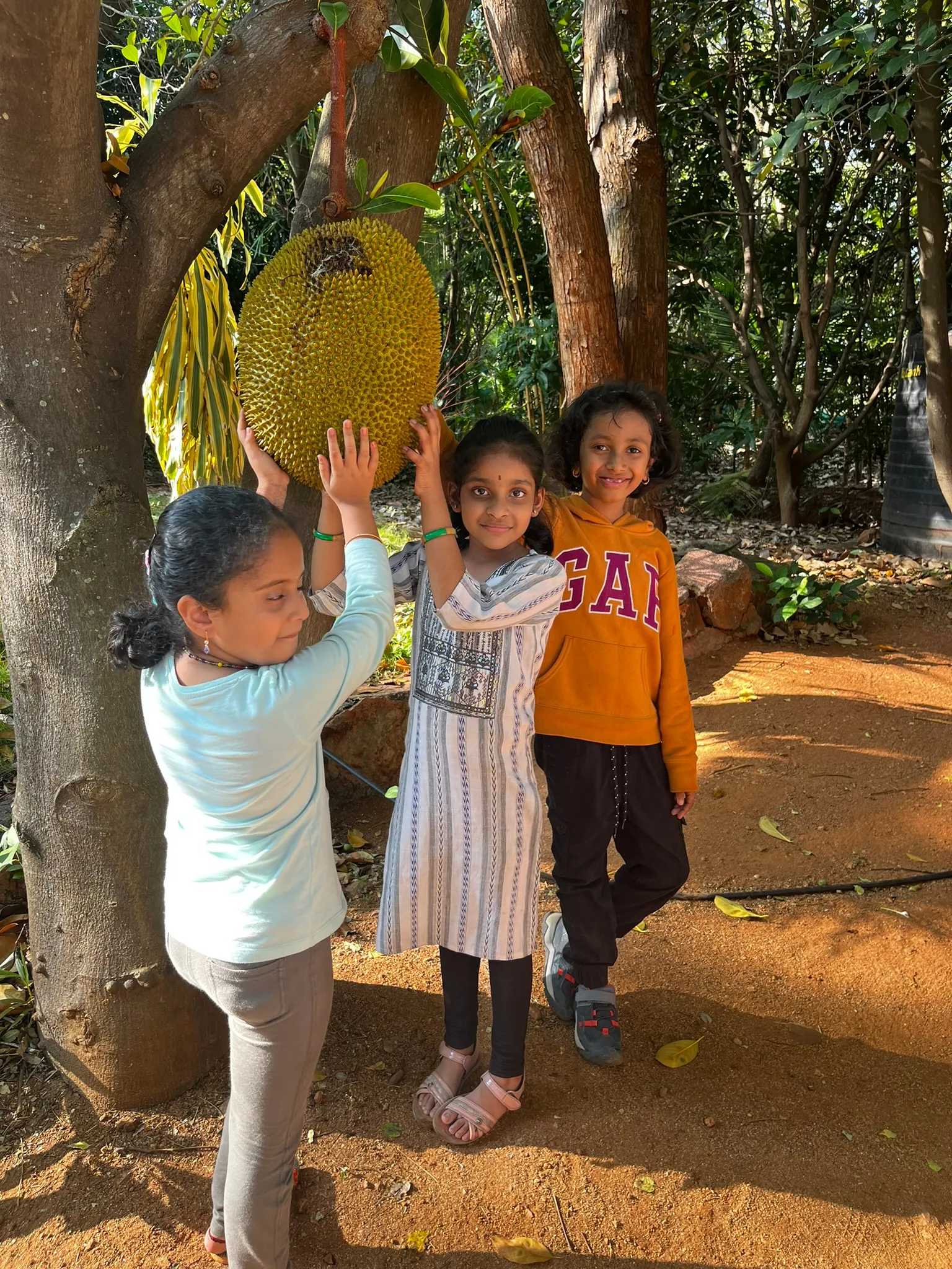 A group enjoying a bird watching session in fields near the Kaveri backwaters