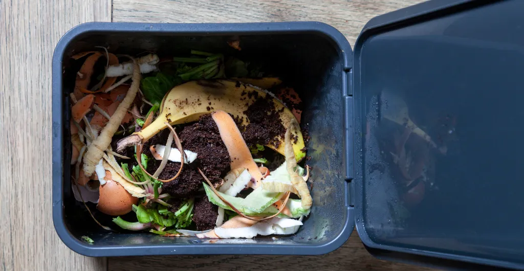 Kitchen waste collected for organic composting