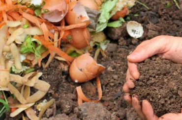 Organic compost made from kitchen waste and soil