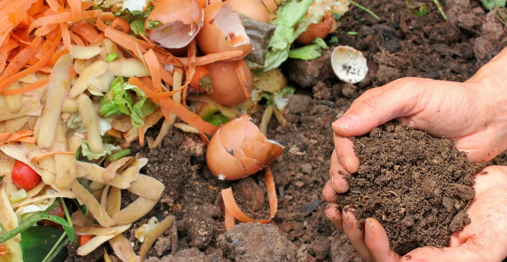 Organic compost made from kitchen waste and soil